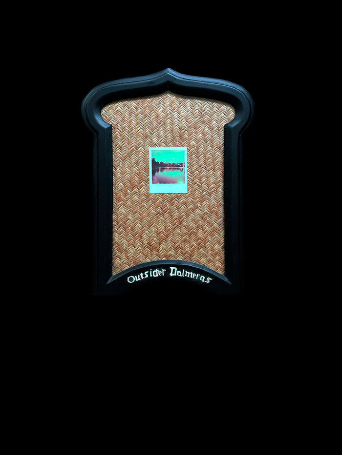 dezso by sara beltran Outsider Palmeras 1