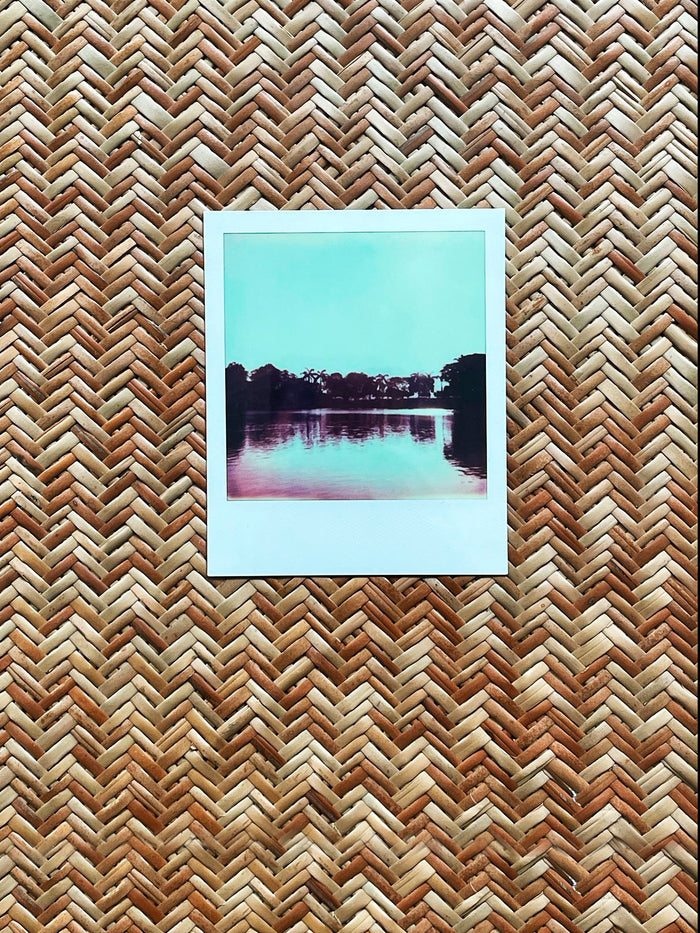 Dezso By Sara Beltran Outsider Palmeras 2