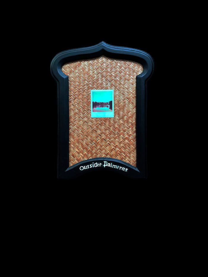 dezso by sara beltran Outsider Palmeras 2