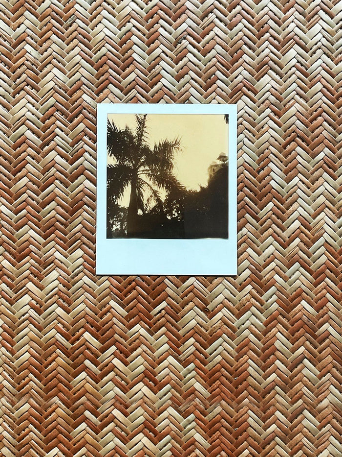 Dezso By Sara Beltran Palacio Palmas 10