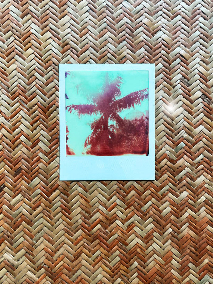 Dezso By Sara Beltran Palacio Palmas 11