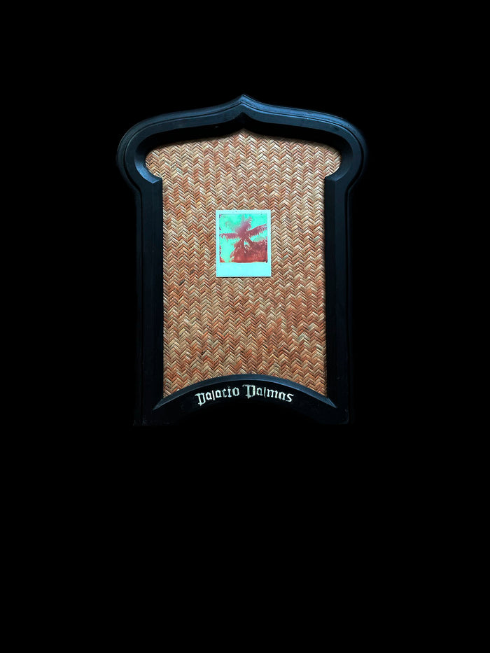 dezso by sara beltran Palacio Palmas 11