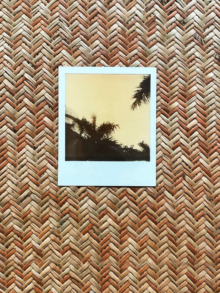 Dezso By Sara Beltran Palacio Palmas 9