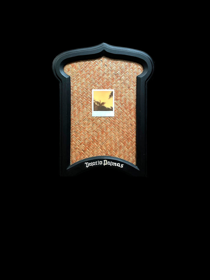 dezso by sara beltran Palacio Palmas 9