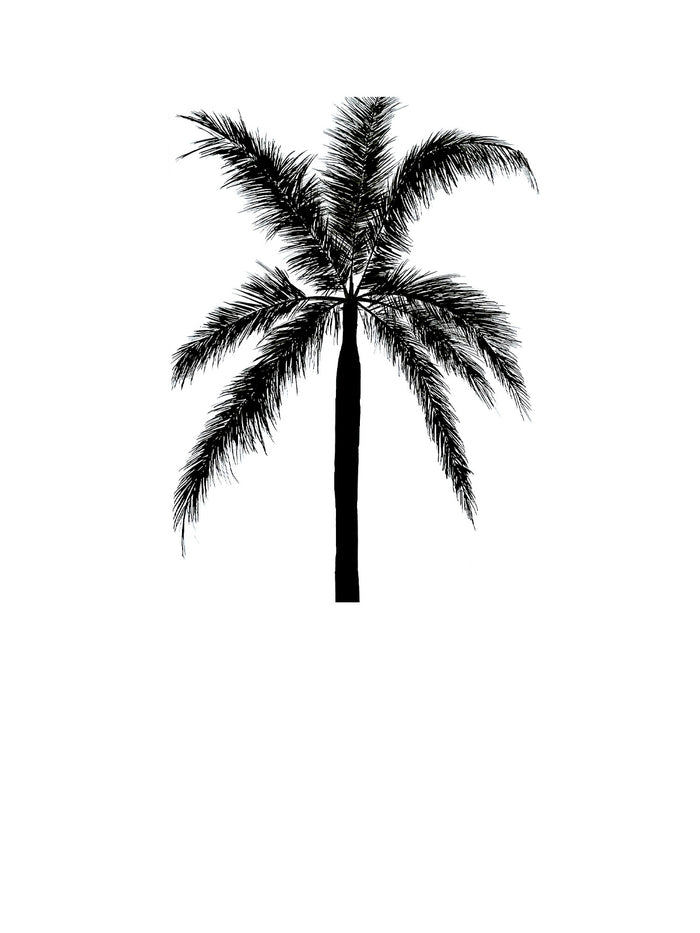 Dezso By Sara Beltran Palma Palmera