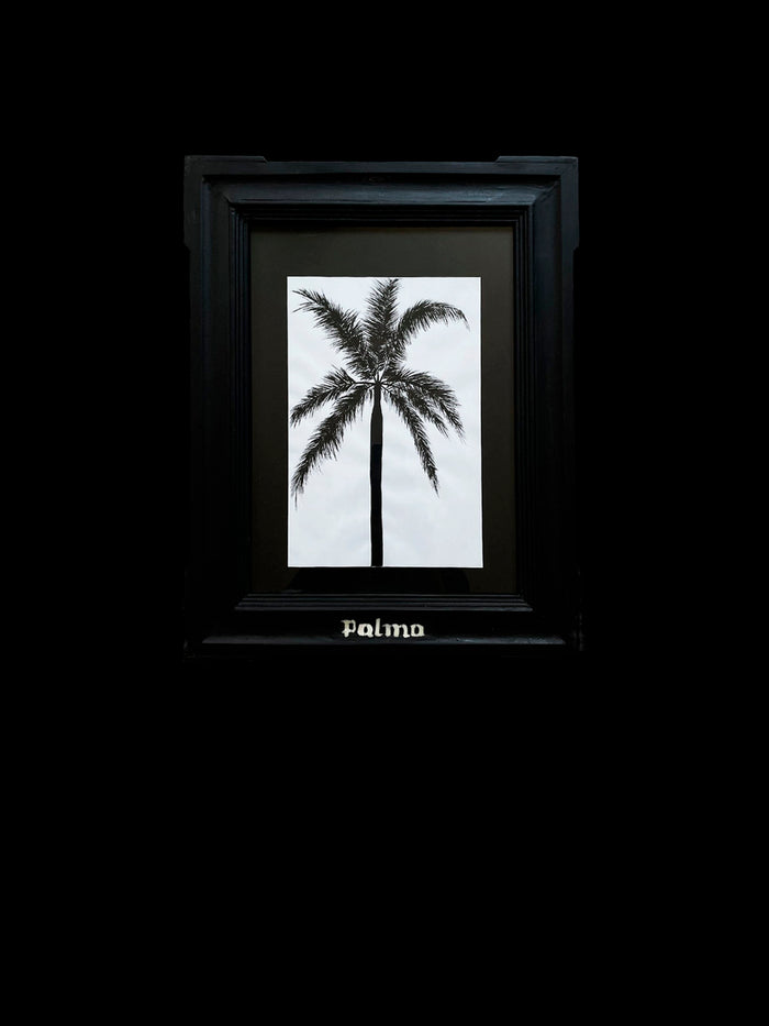 dezso by sara beltran Palma Palmera