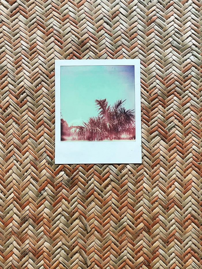 Dezso By Sara Beltran Royal Palmas 12