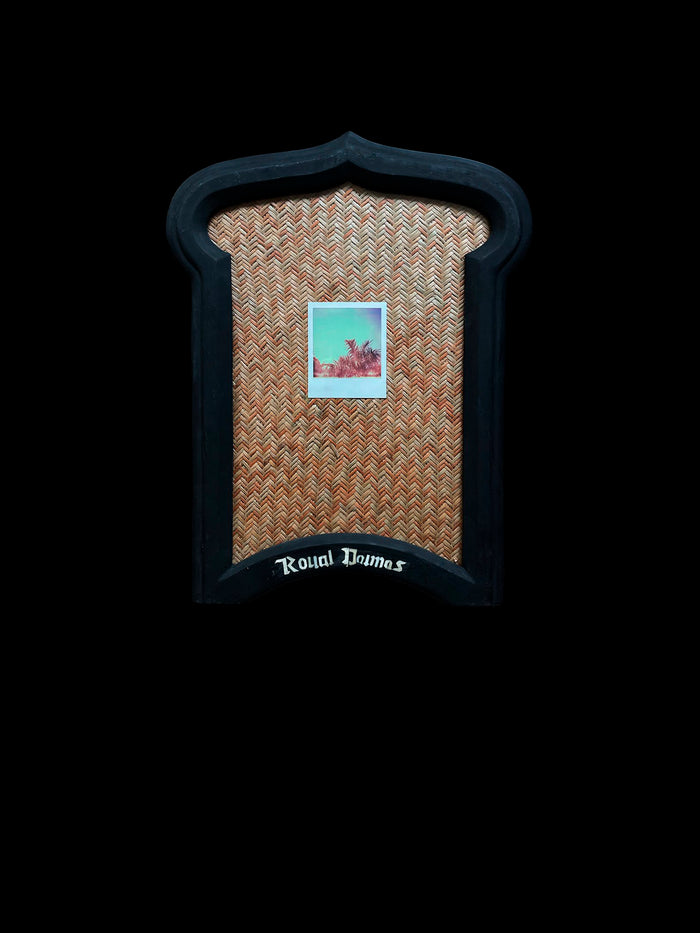 dezso by sara beltran Royal Palmas 12