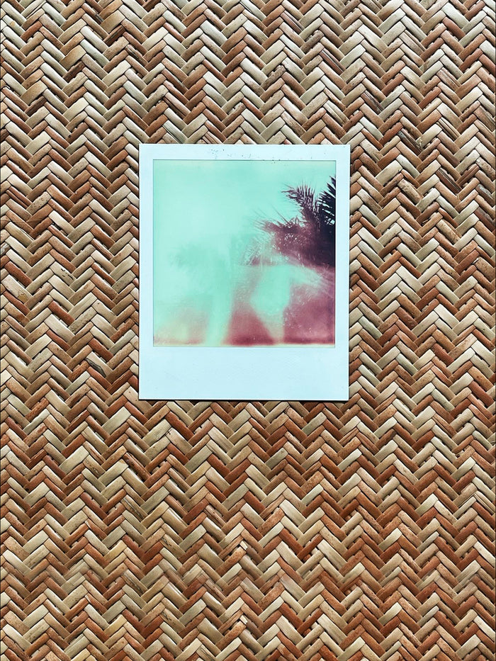 Dezso By Sara Beltran Royal Palmas 13