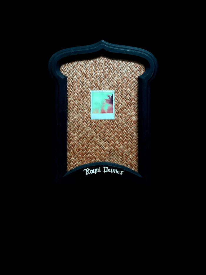 dezso by sara beltran Royal Palmas 13