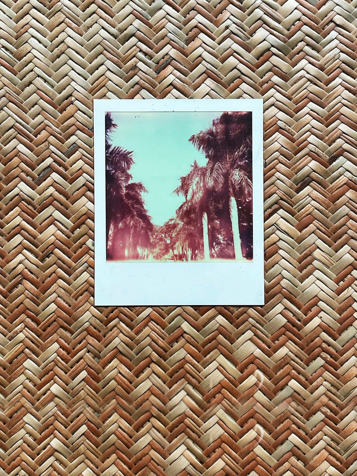 Dezso By Sara Beltran Royal Palmas 14