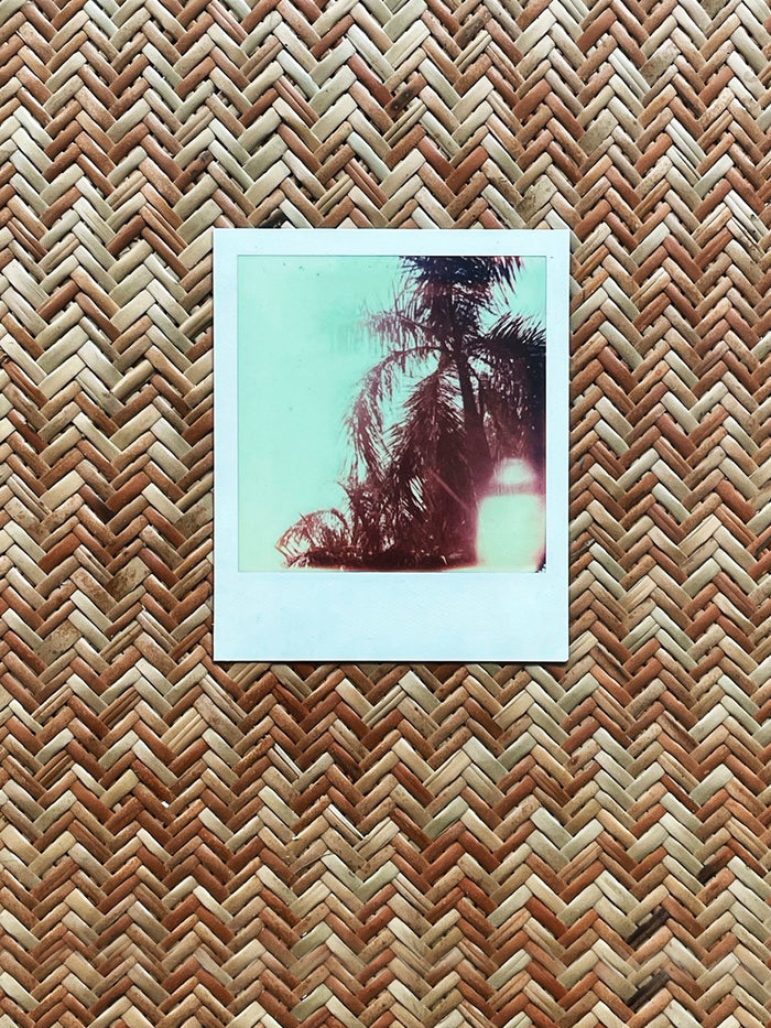 Dezso By Sara Beltran Royal Palmas 15