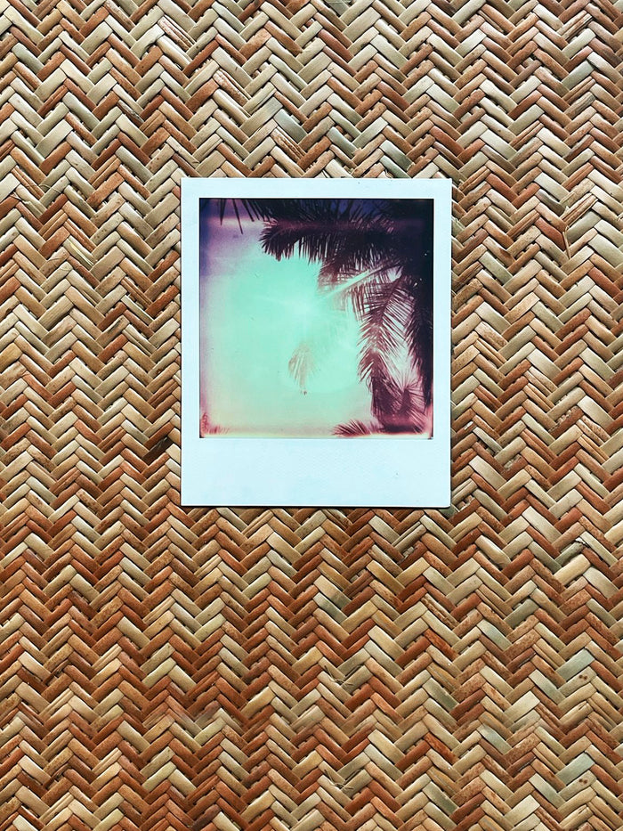 Dezso By Sara Beltran Royal Palmas 16