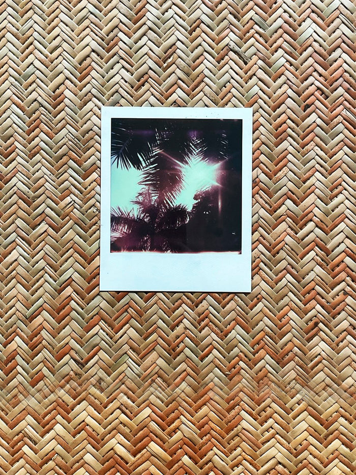 Dezso By Sara Beltran Royal Palmas 18