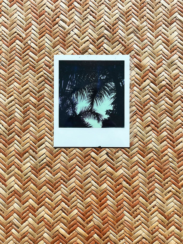 Dezso By Sara Beltran Royal Palmas 20