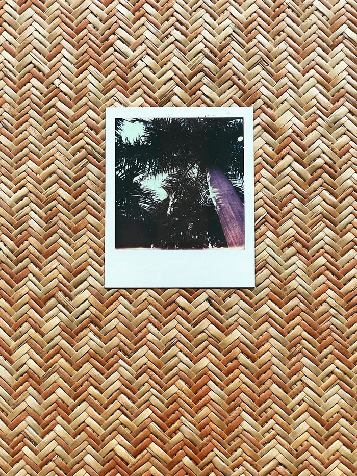 Dezso By Sara Beltran Royal Palmas 21