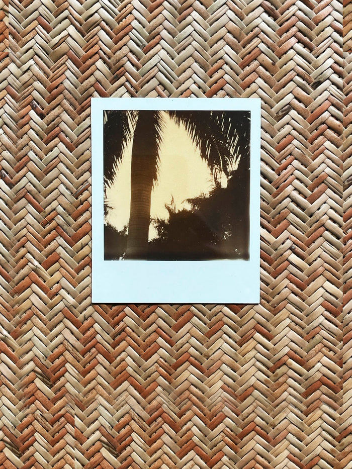 Dezso By Sara Beltran Royal Palmas 3