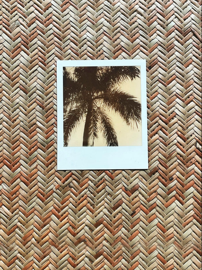 Dezso By Sara Beltran Royal Palmas 4