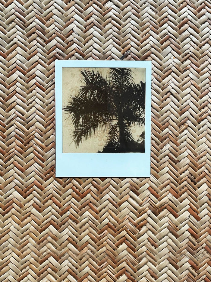 Dezso By Sara Beltran Royal Palmas 5