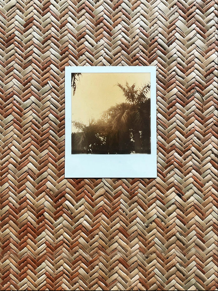 Dezso By Sara Beltran Royal Palmas 6