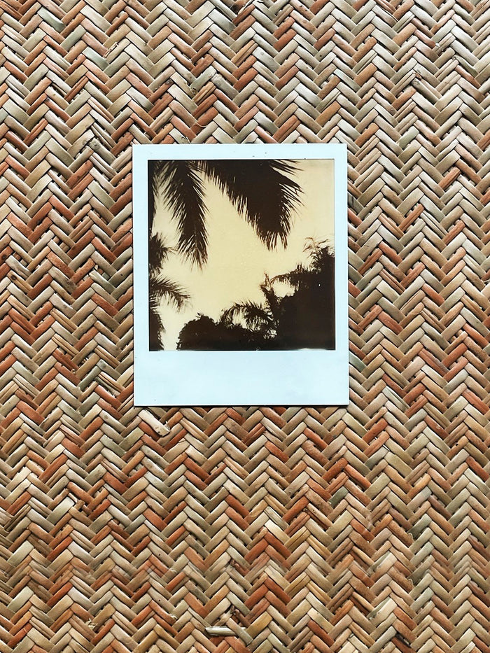 Dezso By Sara Beltran Royal Palmas 7