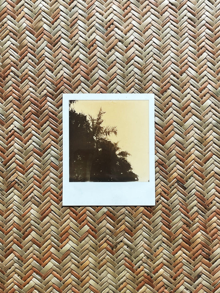 Dezso By Sara Beltran Royal Palmas 8