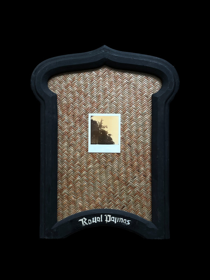 dezso by sara beltran Royal Palmas 8