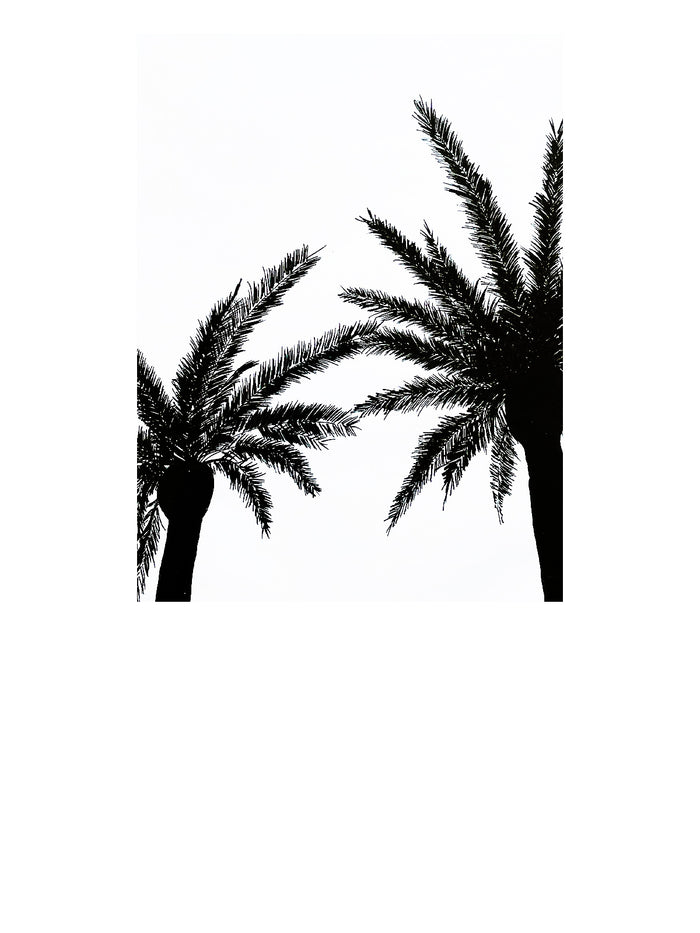 Dezso By Sara Beltran Sandalwood Palmera