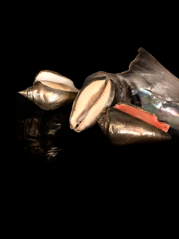 Dezso By Sara Beltran Set Of 3 Shells