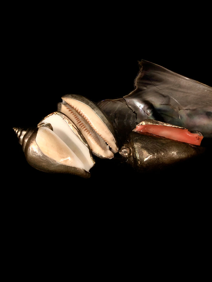 dezso by sara beltran Set of 3 Shells