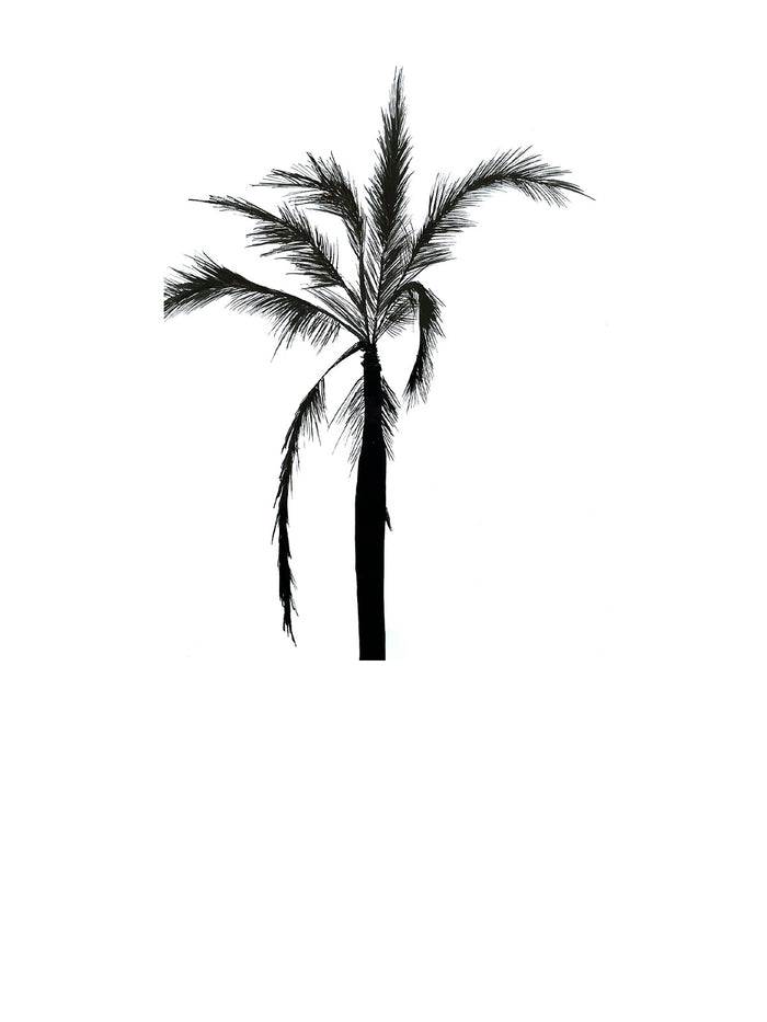 Dezso By Sara Beltran Shark Palmera