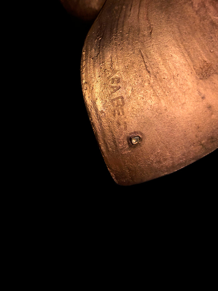 Dezso By Sara Beltran Shell Sculpture