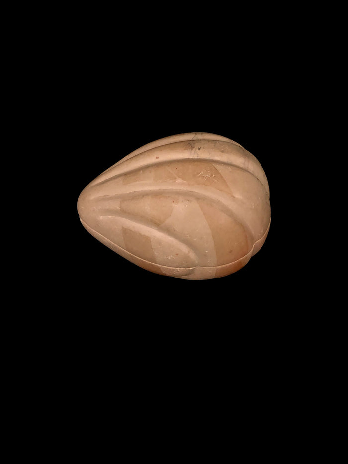 Dezso By Sara Beltran Stone Carved Shell Box