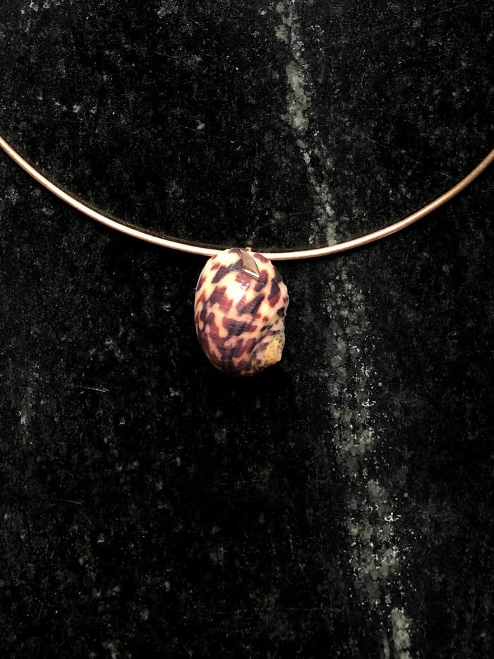 dezso by sara beltran Striped Brown Turbo Shell