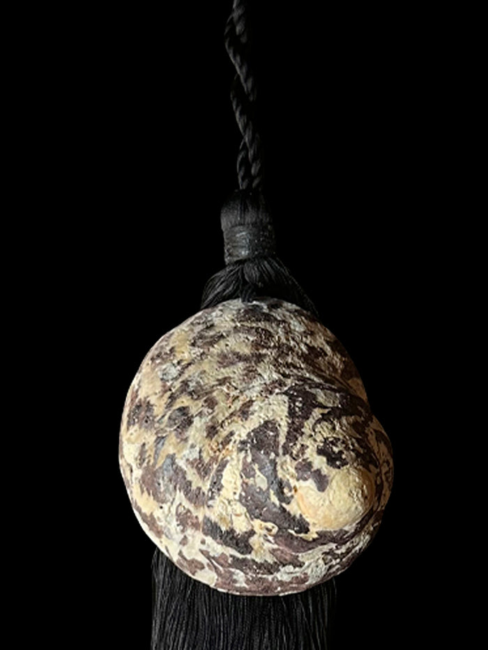 Dezso By Sara Beltran Trochidae Fossil Tassel