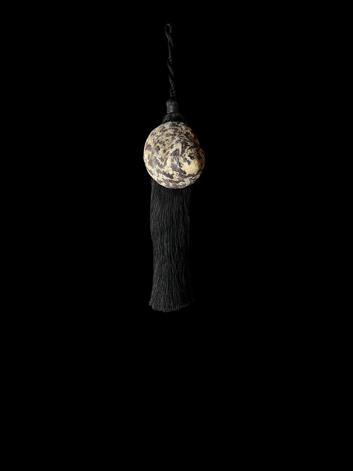 dezso by sara beltran Trochidae Fossil Tassel