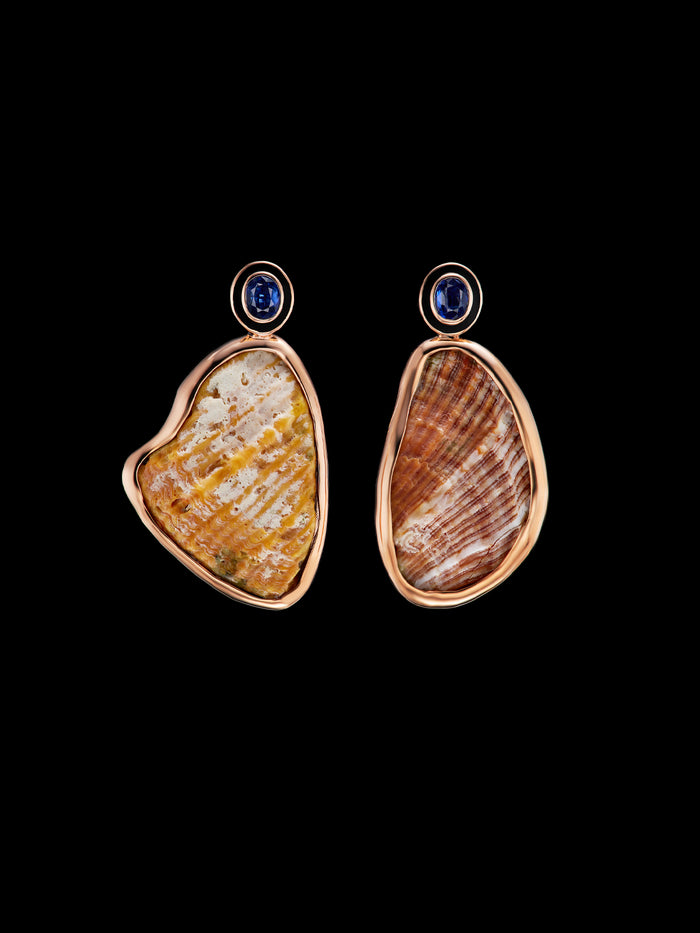 dezso by sara beltran Grande Palm Beach Kyanite Earrings