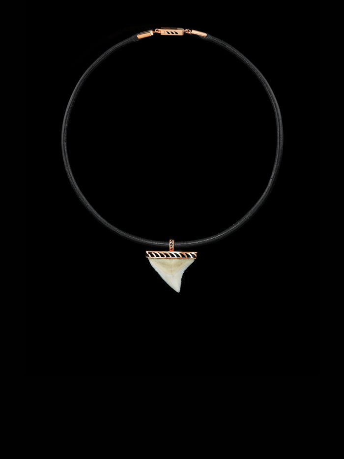 Dezso By Sara Beltran Shark Tooth With Black Enameling