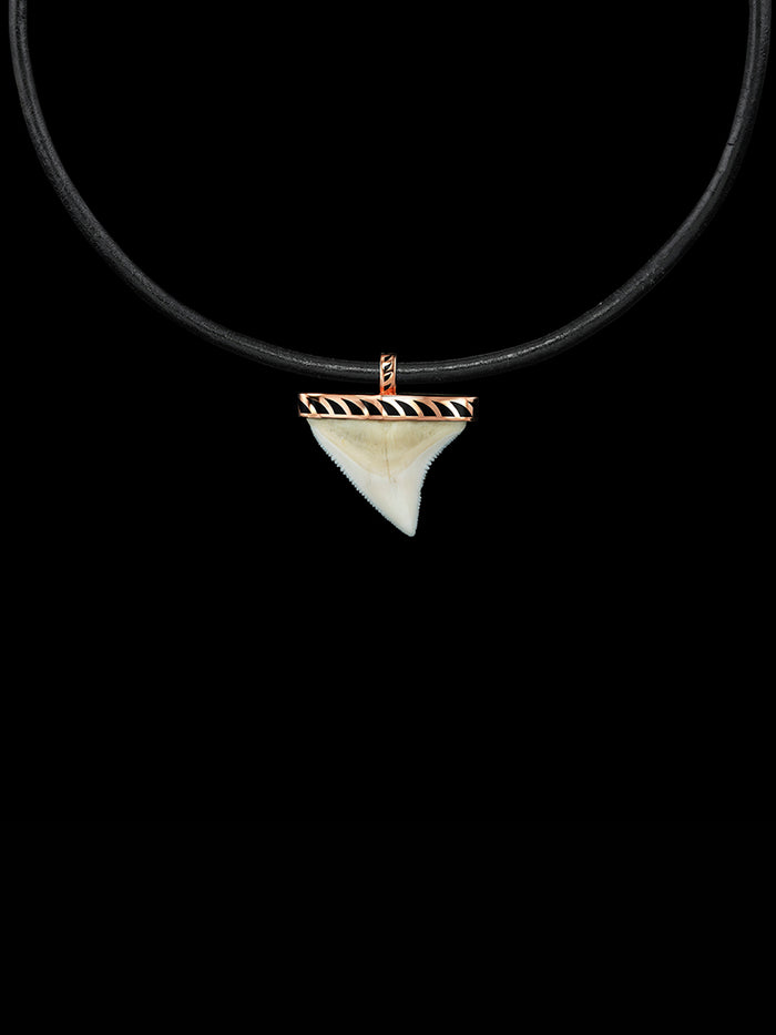 dezso by sara beltran Shark Tooth with Black Enameling