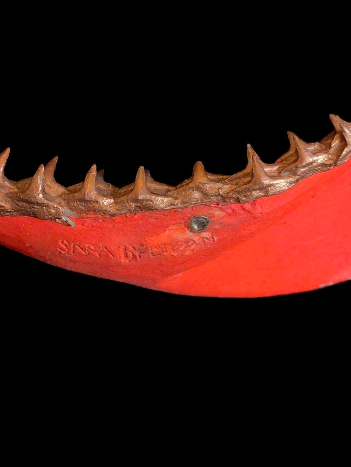 Dezso By Sara Beltran Signature Neon Dezso Shark Jaw