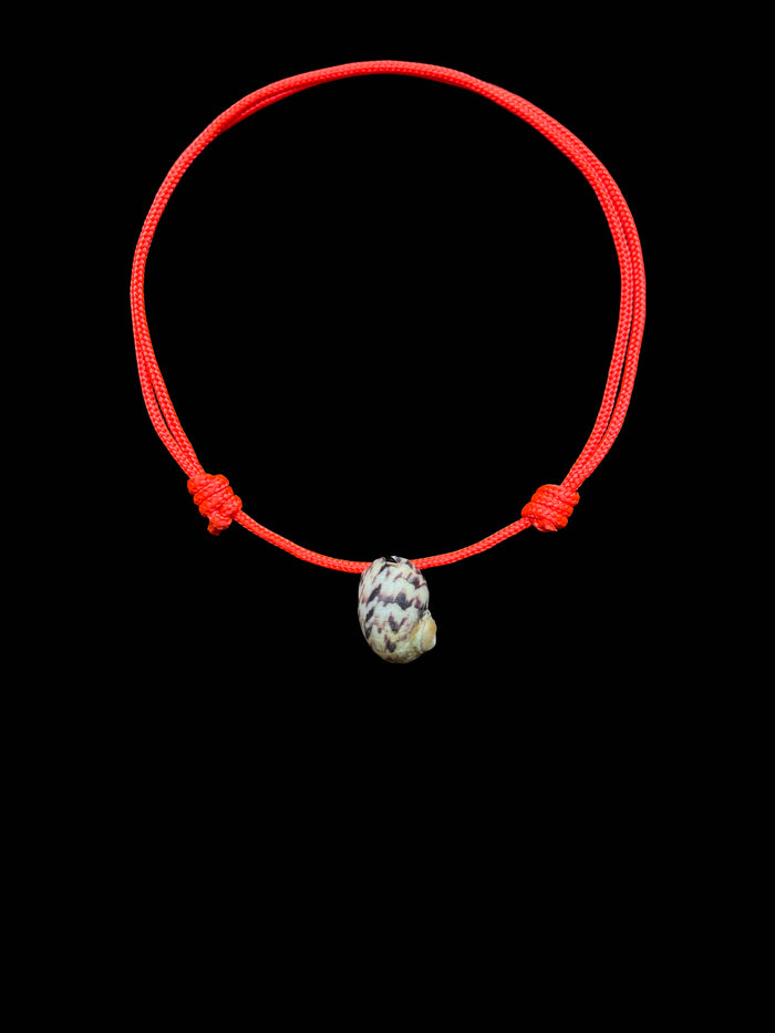 Dezso By Sara Beltran Turbo Shell Paracord Necklace