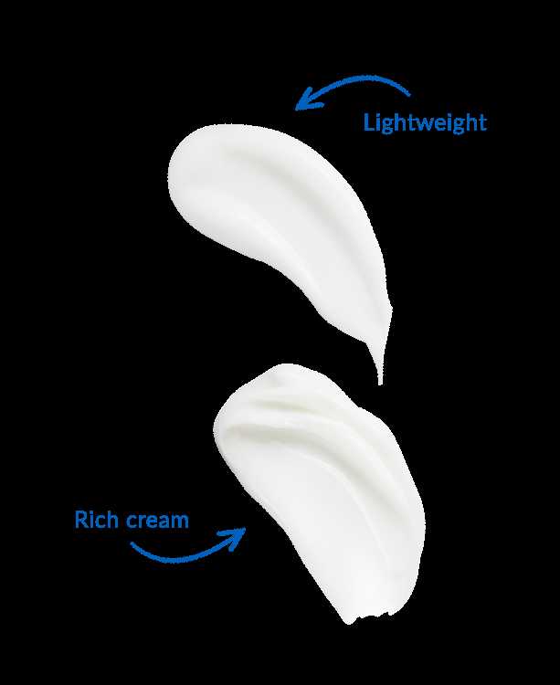 Dhc Day To Night Moisture Set