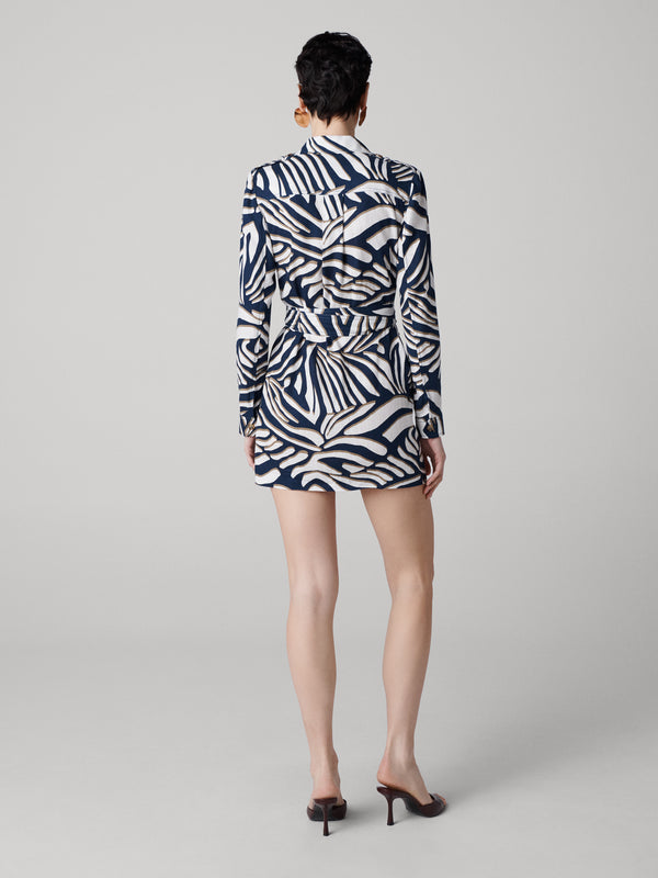 Diane Von Furstenberg Riley Dress D116ASSCNYLINN