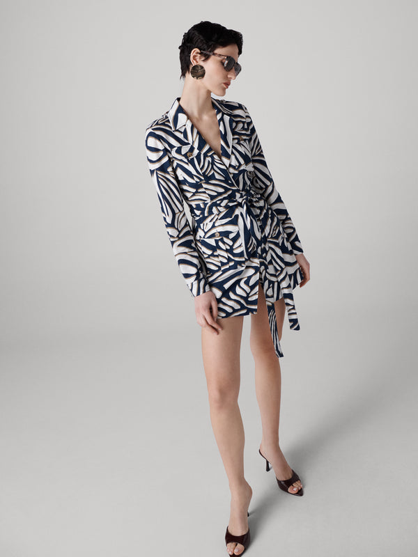 Diane Von Furstenberg Riley Dress D116ASSCNYLINN