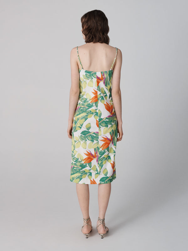 Diane Von Furstenberg Roma Dress D041ABSPMCCNSJ