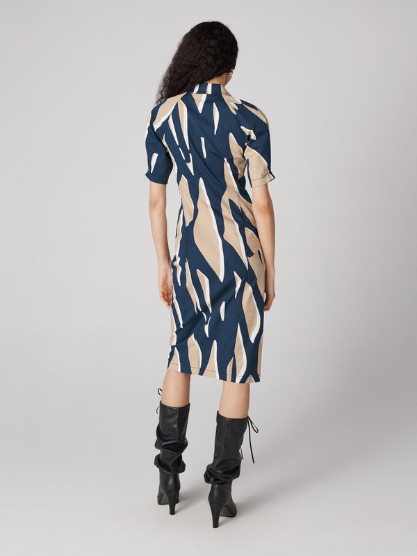 Diane Von Furstenberg Sheskita Dress D002ASTGBGSCPN