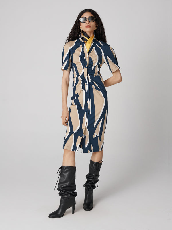 Diane Von Furstenberg Sheskita Dress D002ASTGBGSCPN