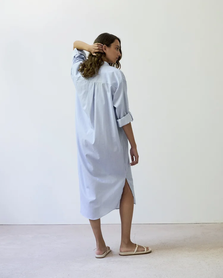 Diarte Frita Pinstripe Dress