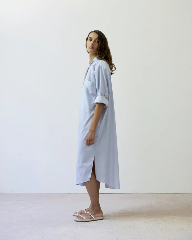 Diarte Frita Pinstripe Dress