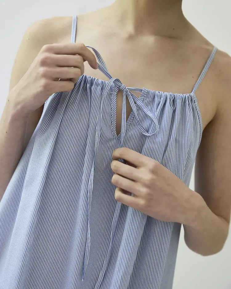 Diarte Palmera Pinstripe Dress